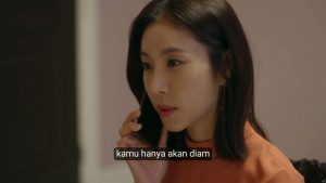 Review Drama Korea Let Me Introduce Her